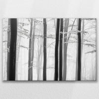 LW-075W050