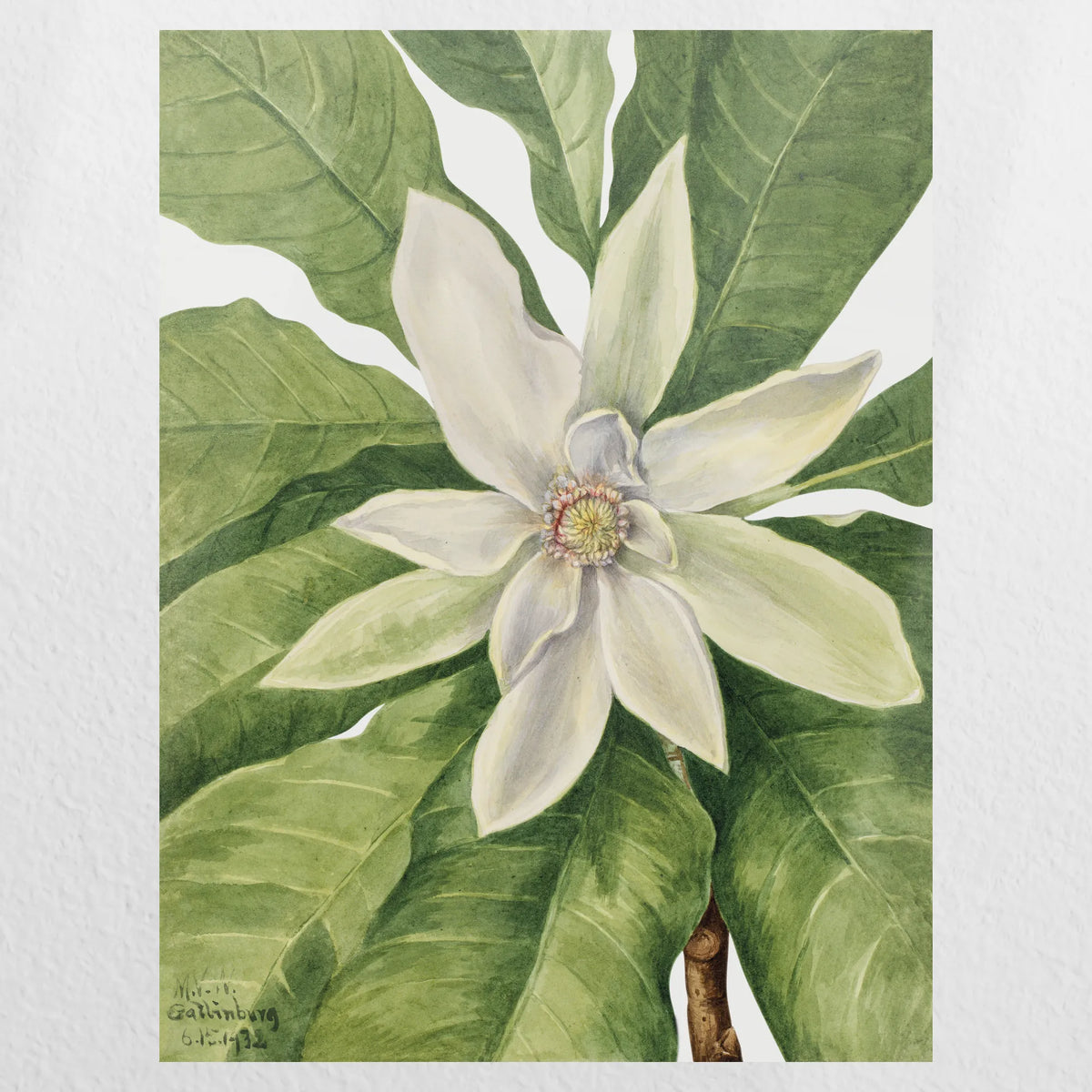 PO-030W040