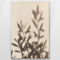 AC-030W045
