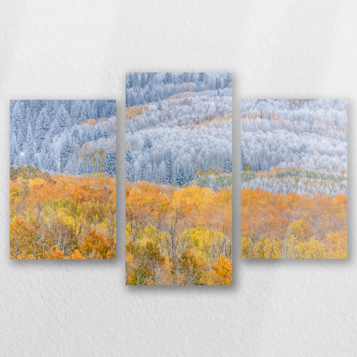 AC-060T040