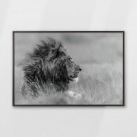 LWN120W080