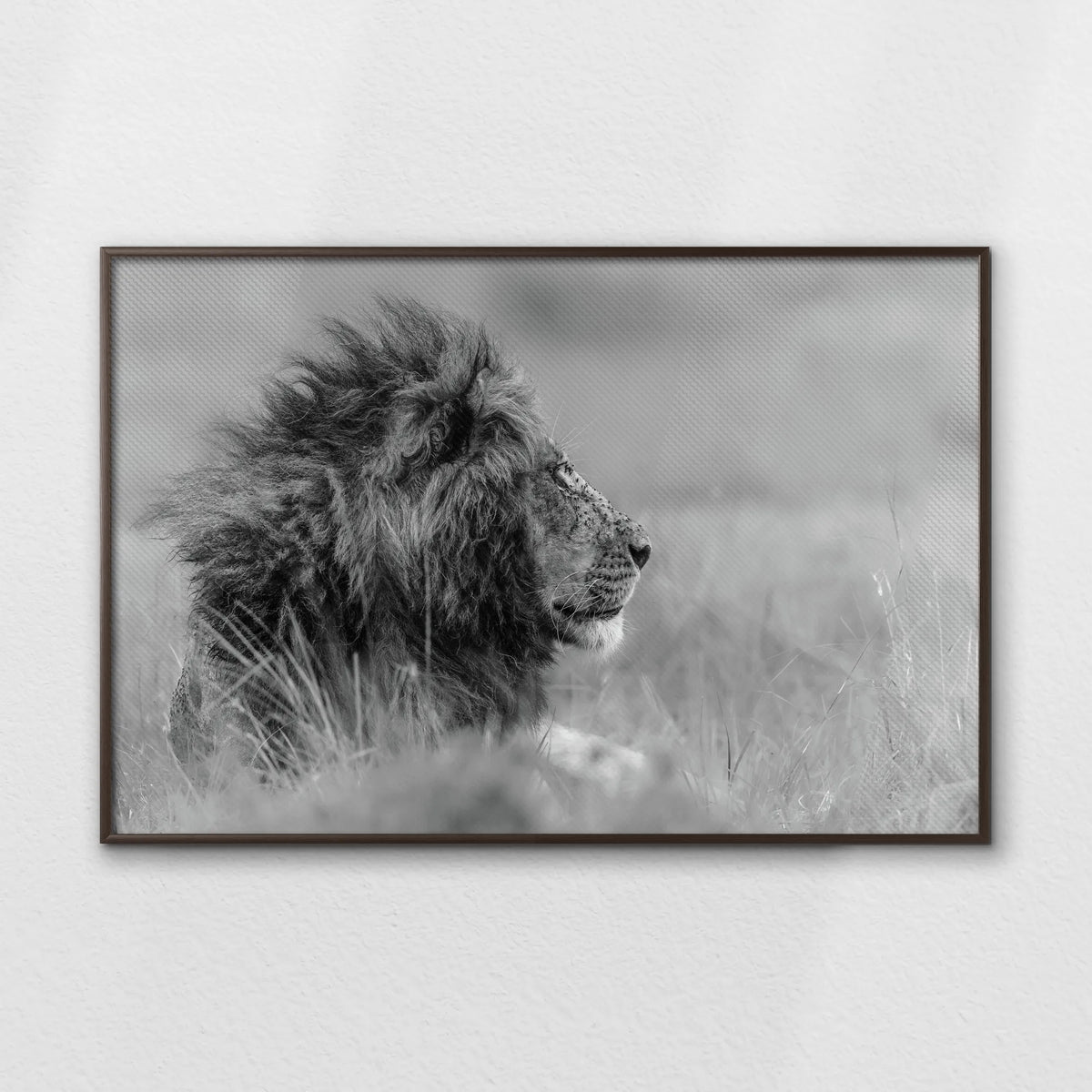 LWN120W080