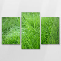 AC-090T060