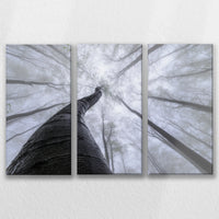 LW-090R060