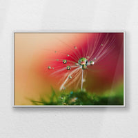 LWW120W080