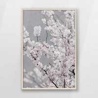 PN-062W093