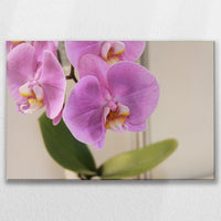 LW-075W050