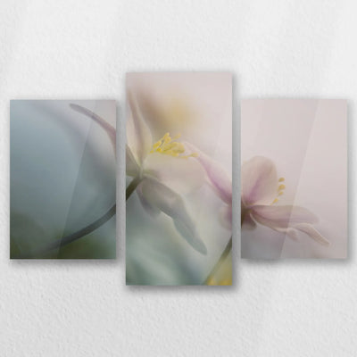 AC-060T040