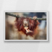 LWW060W040