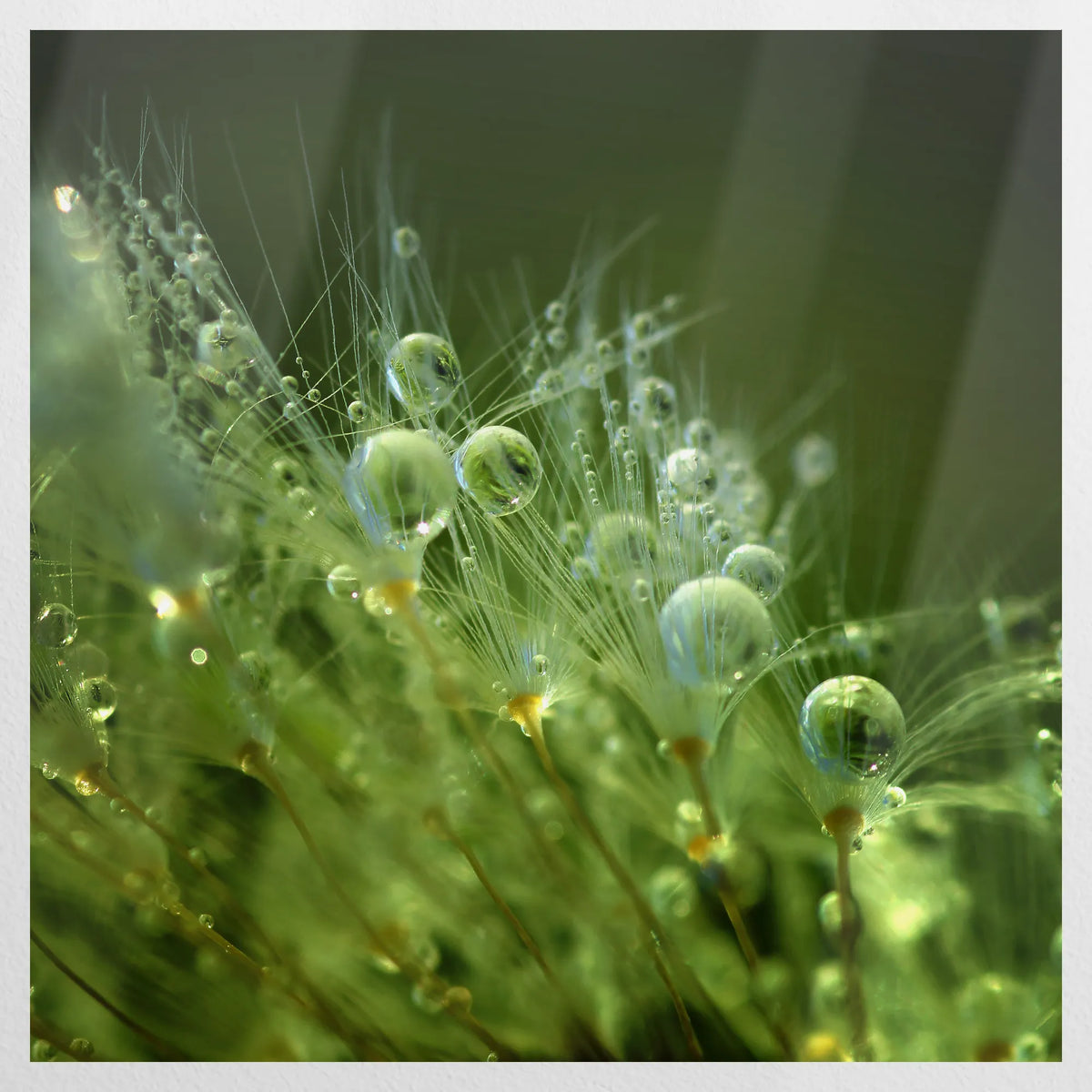 PO-070W070