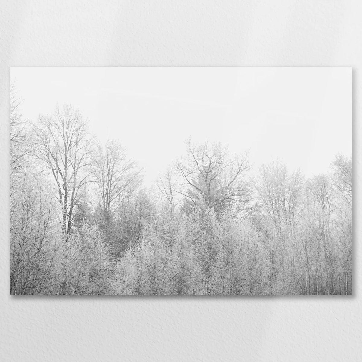 AL-075W050