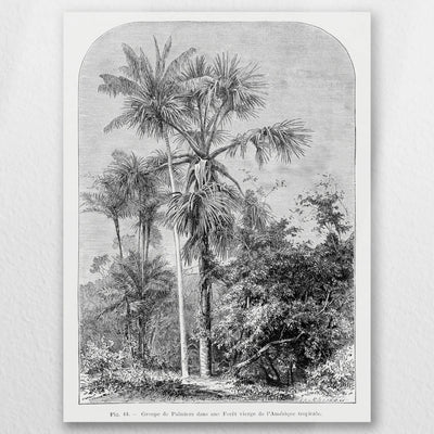 AL-030W040