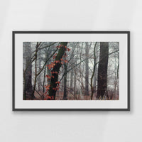 PKP093W062