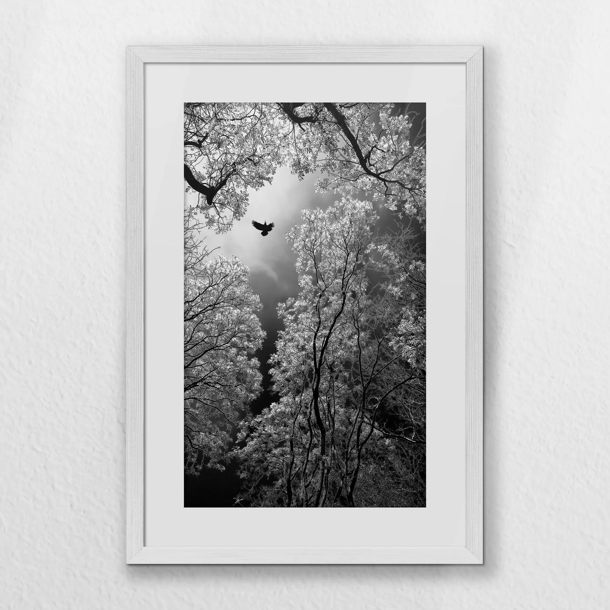 PWP040W060