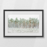 PKP060W040