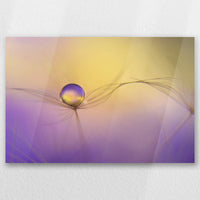 AC-030W020