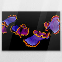 AC-060W040