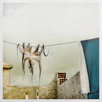 PO-090W090
