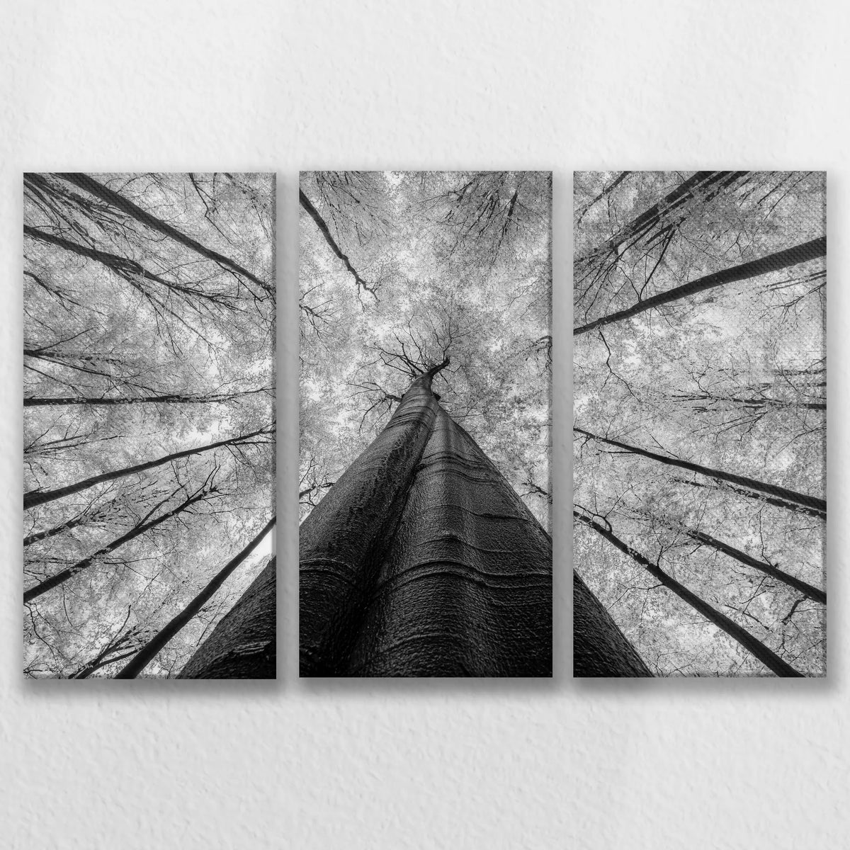 LW-090R060