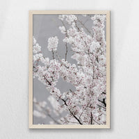 PN-040W060