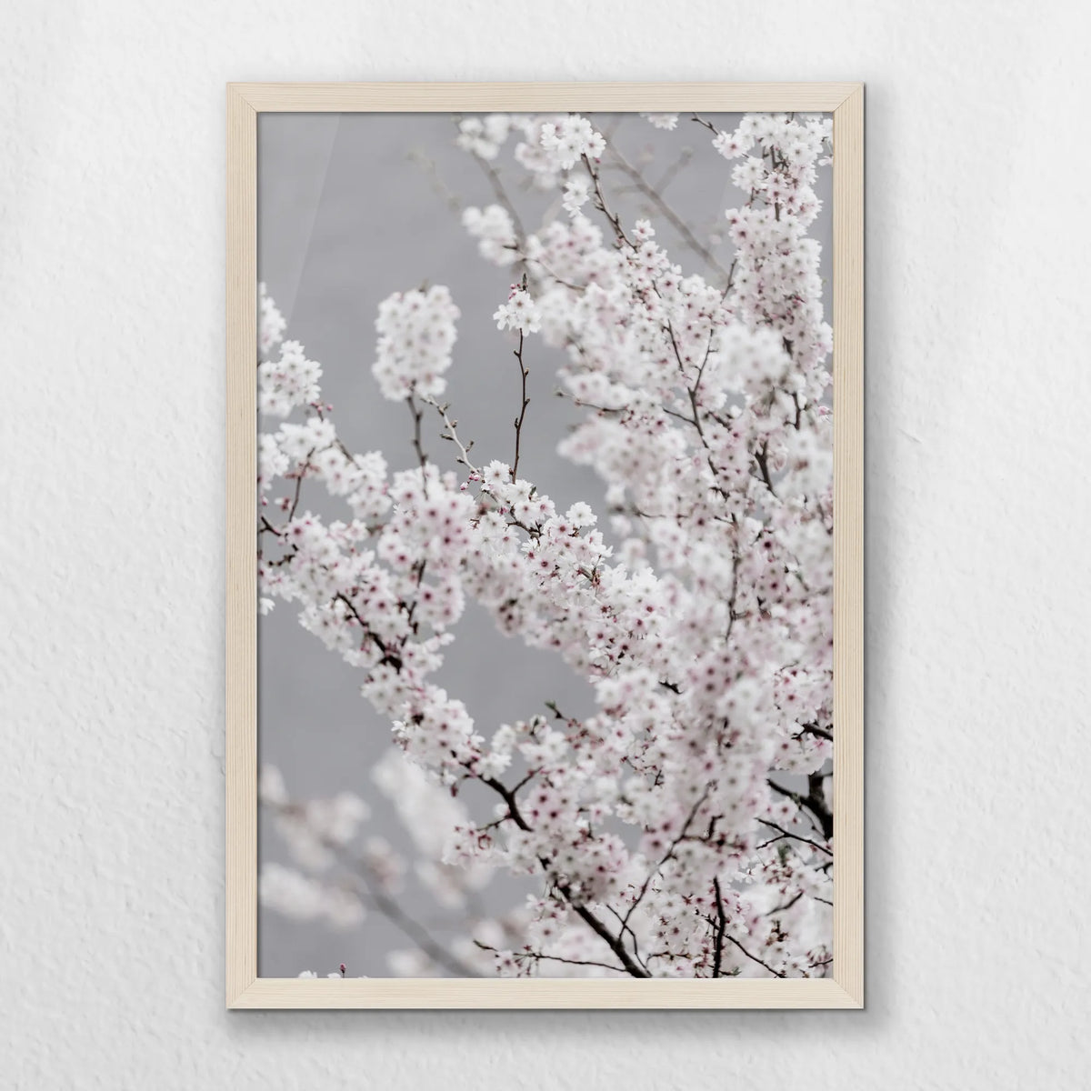 PN-040W060