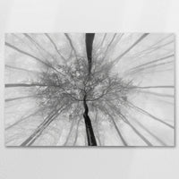 AL-075W050