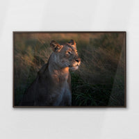 LWN120W080