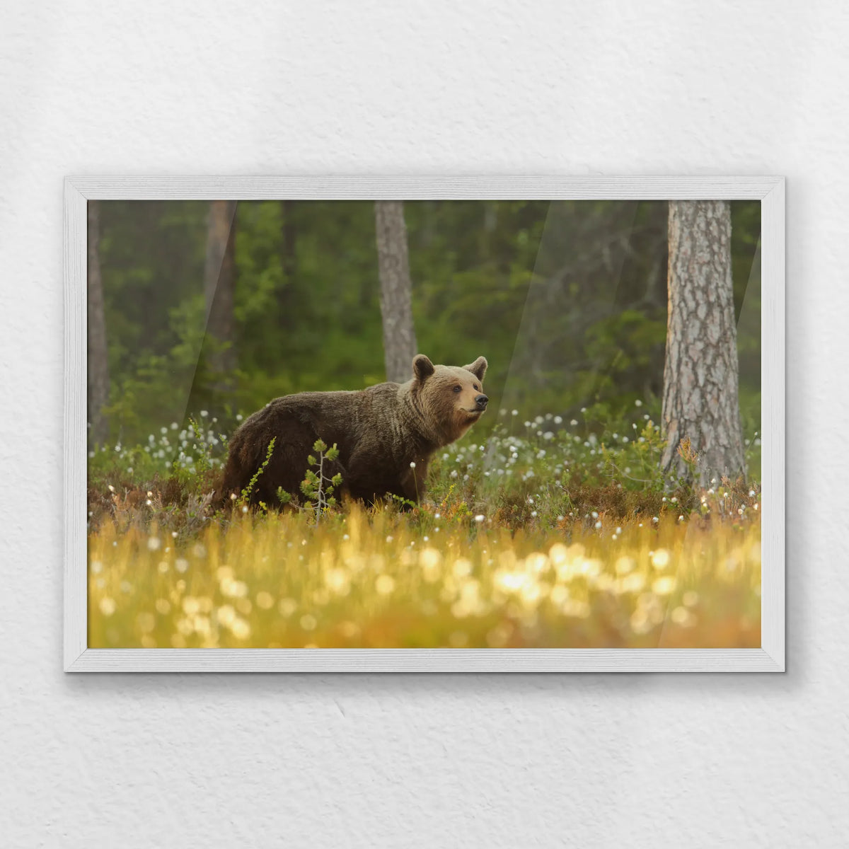PW-060W040