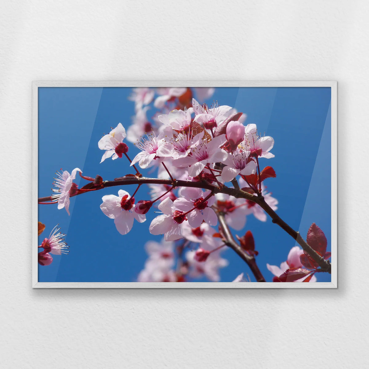 PW-093W062