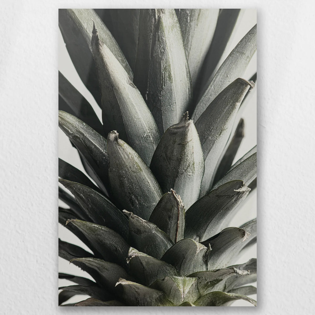 AL-050W075