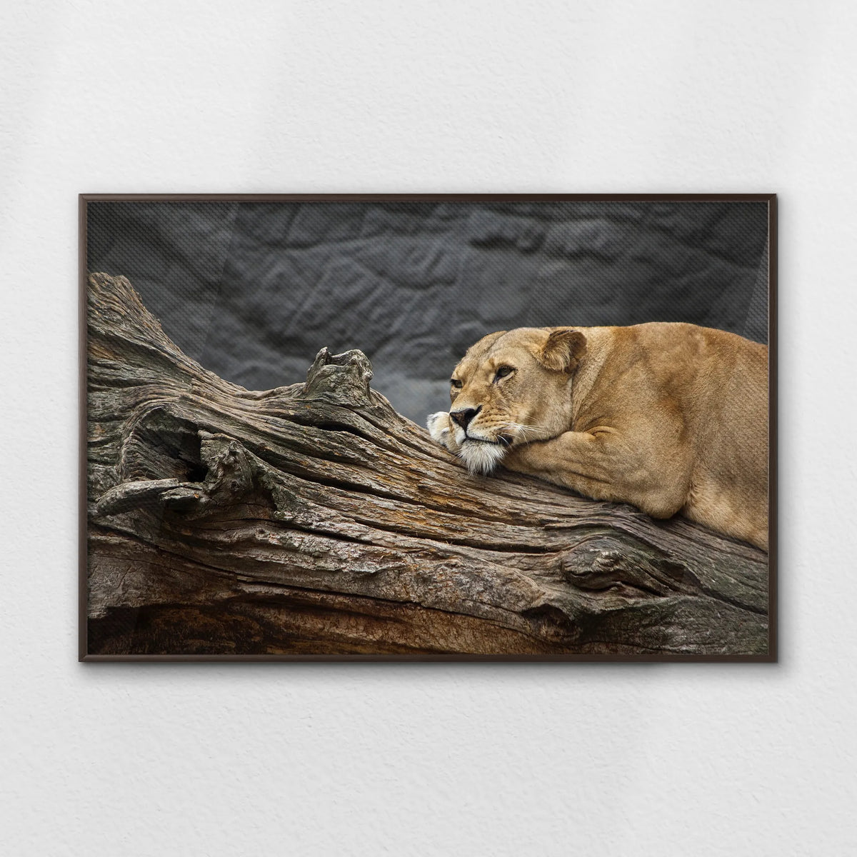 LWN120W080