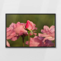 LWB120W080