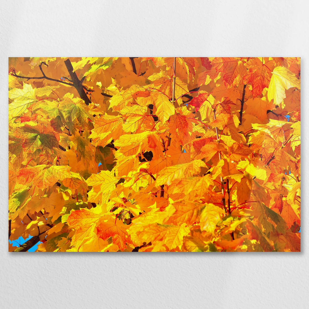 AL-075W050