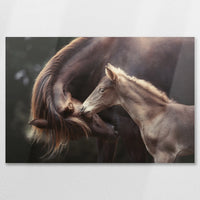 AL-075W050
