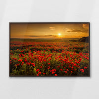 LWN120W080