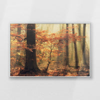 PS-093W062