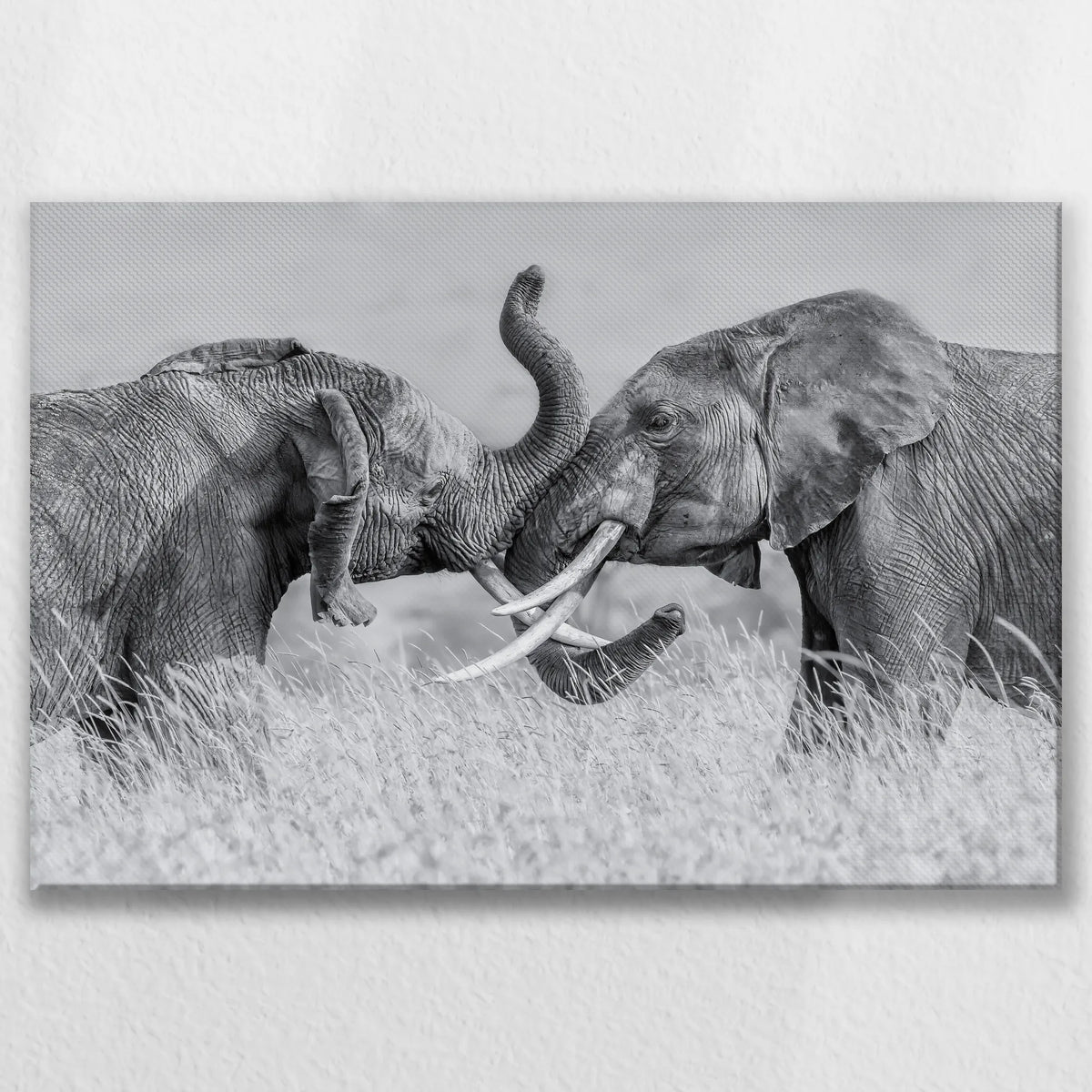 LW-075W050