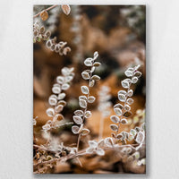 LW-040W060