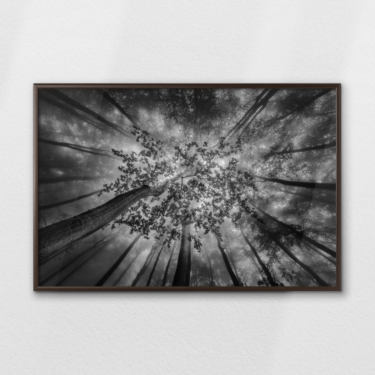 LWN100W070