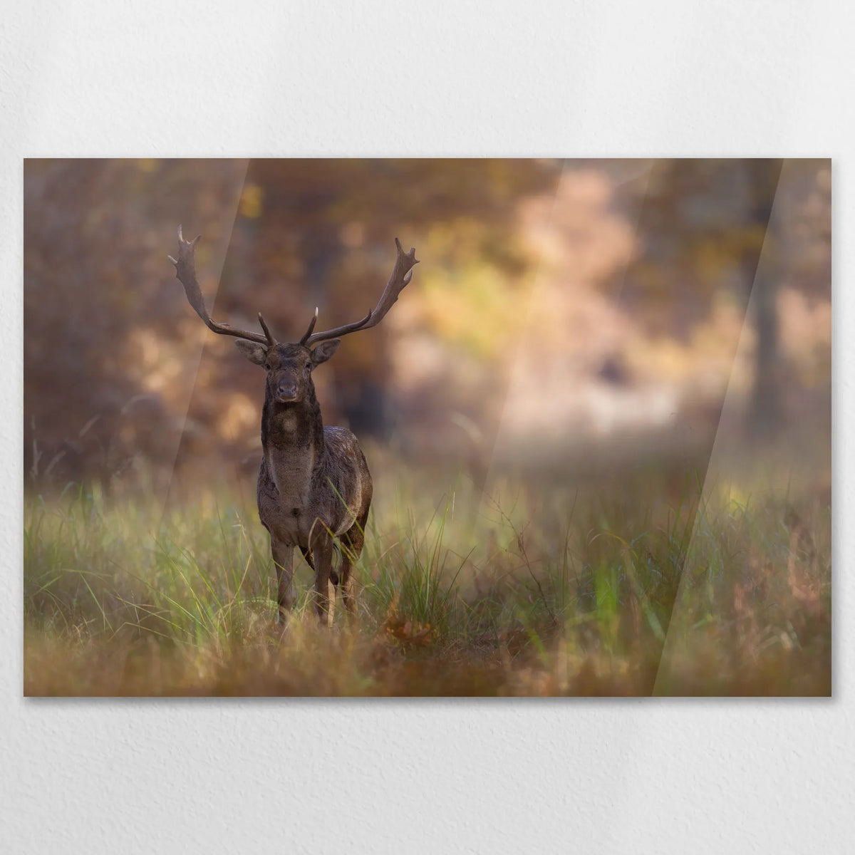 AC-120W080