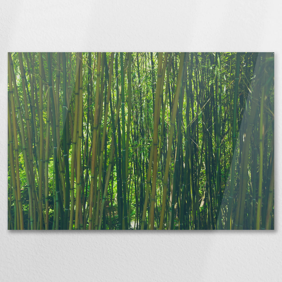 AC-075W050
