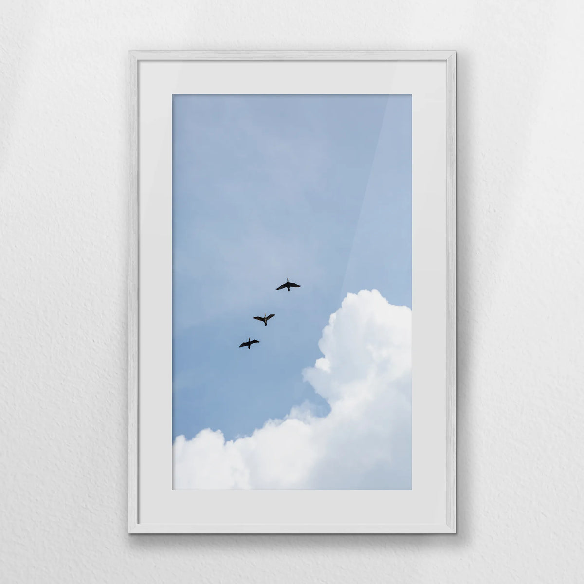 PWP062W093