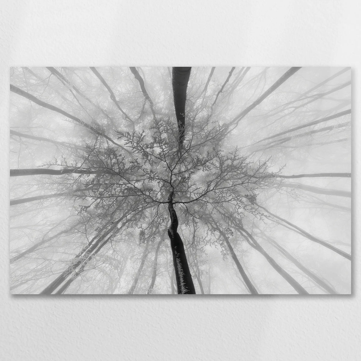 AL-090W060