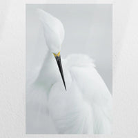 PO-040W060