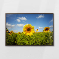LWN120W080
