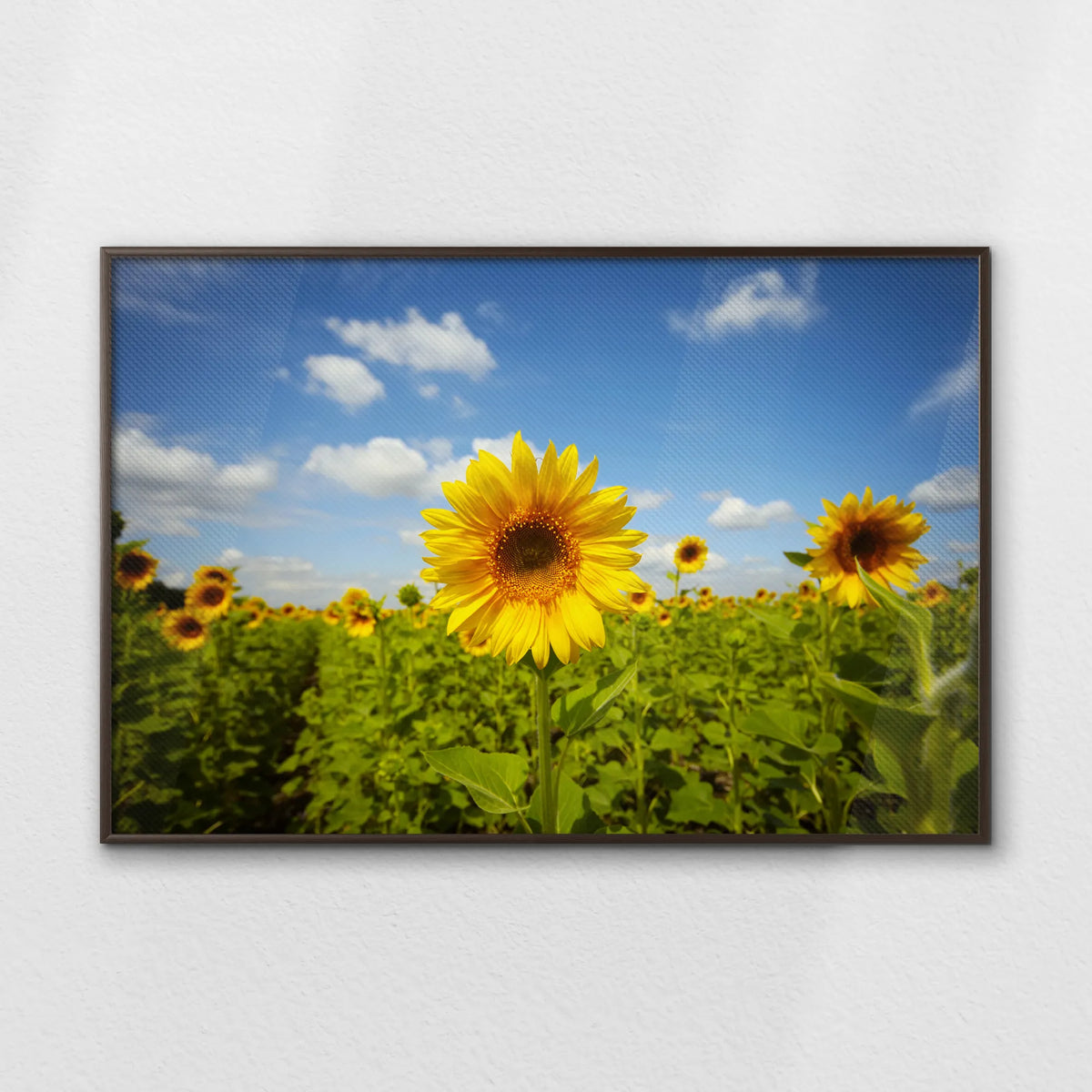 LWN120W080