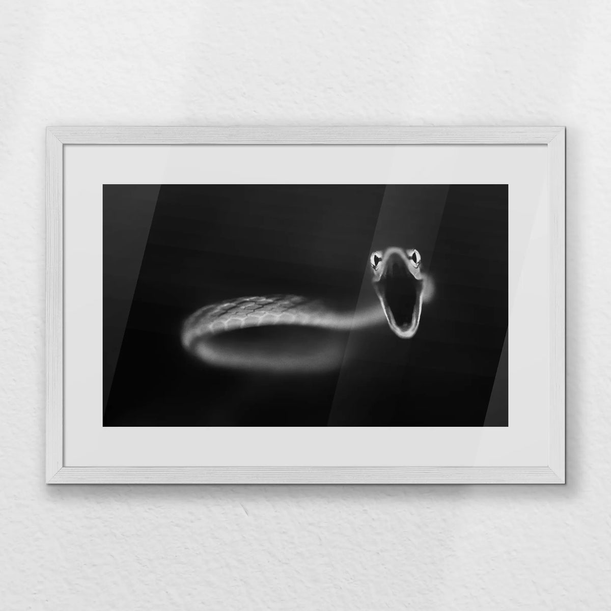 PWP060W040