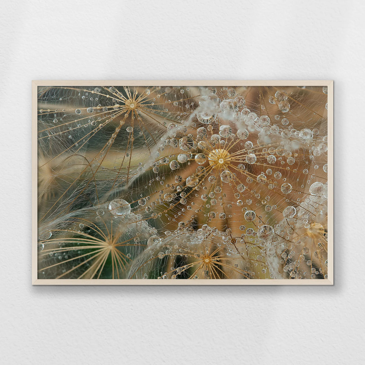 PN-093W062