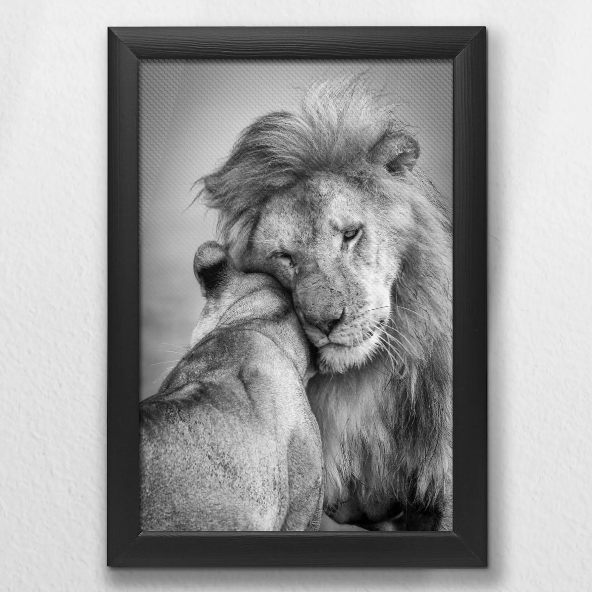 LWB020W030