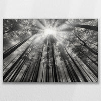 LW-090W060